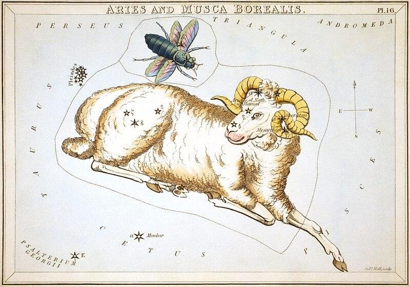 Image depicting the Aries constellation.