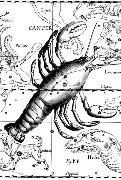 Imagem do desenho da constelação de Câncer, representada por um caranguejo.