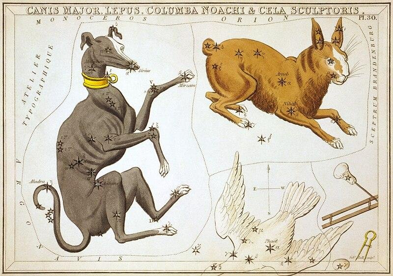 Image of the Canis Major constellation, representing the greater dog in the night sky.