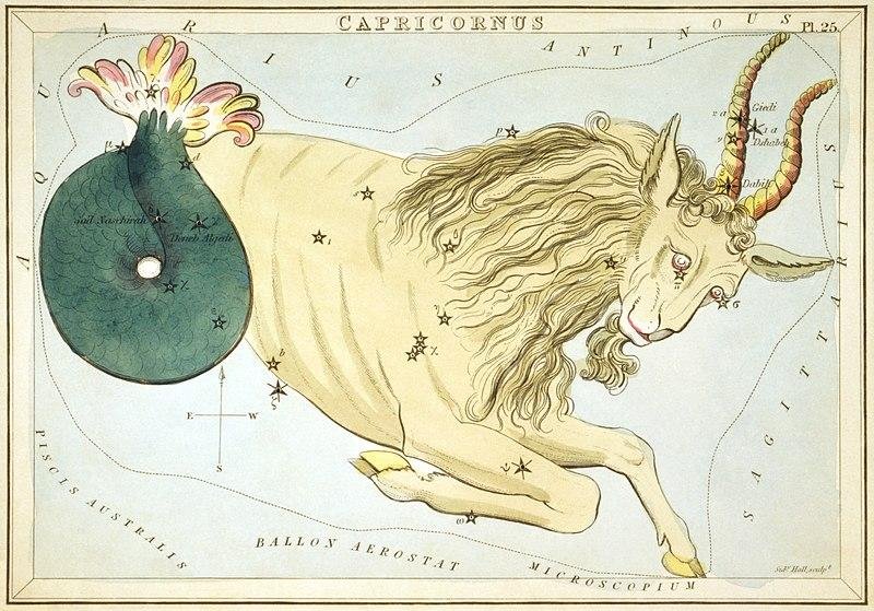 An illustration of the Capricornus constellation, visually representing its shape and stars.