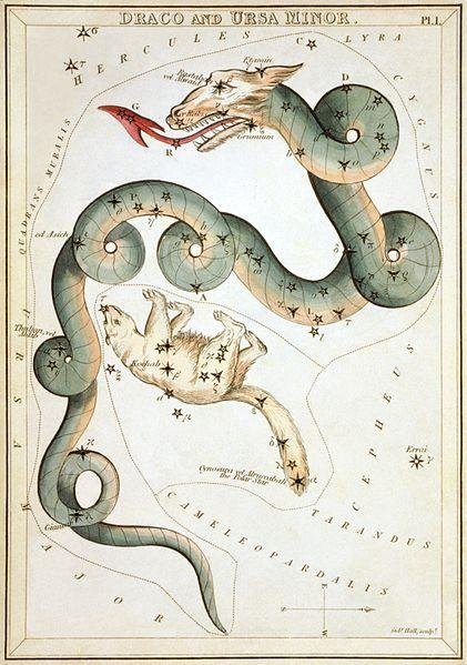 A visual representation of the Draco constellation, illustrating its dragon-like shape and key stars.