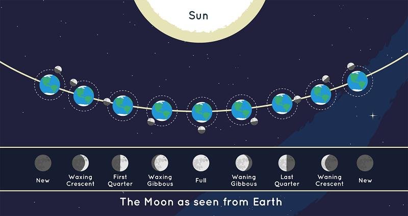 Image illustrating the different phases of the moon.