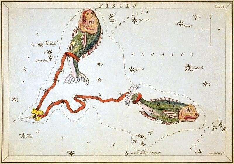 An illustration representing the Pisces constellation with two fish connected by a cord.