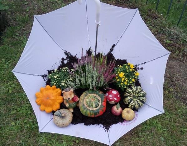 A unique umbrella can serve as a planter for small plants like cacti and succulents.