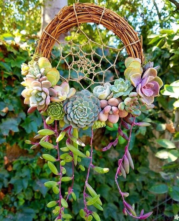 A dreamcatcher adorned with succulents adds an airy arrangement, perfect for the entrance of a home.