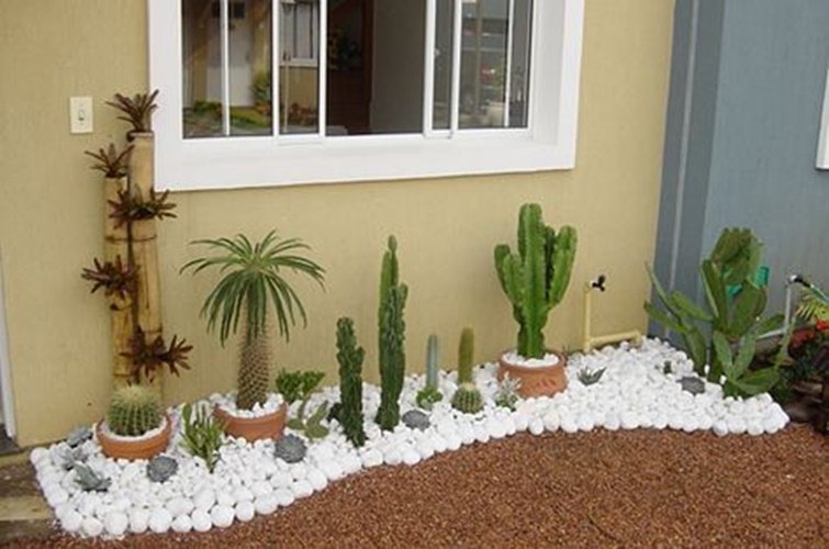 Dolomitic stones helped to line this charming cactus bed, along with expanded clay stones that help retain water.