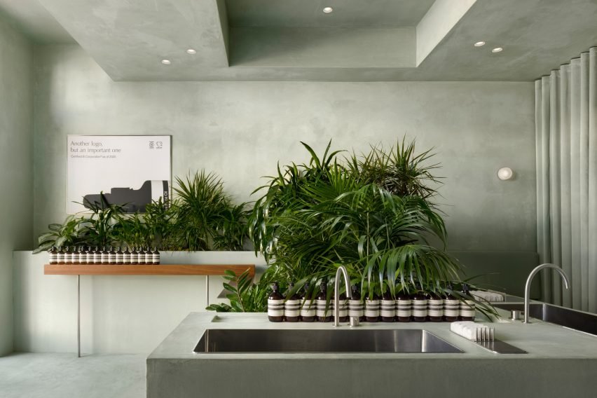 Planters with tropical foliage are placed behind the sink and along the side wall.