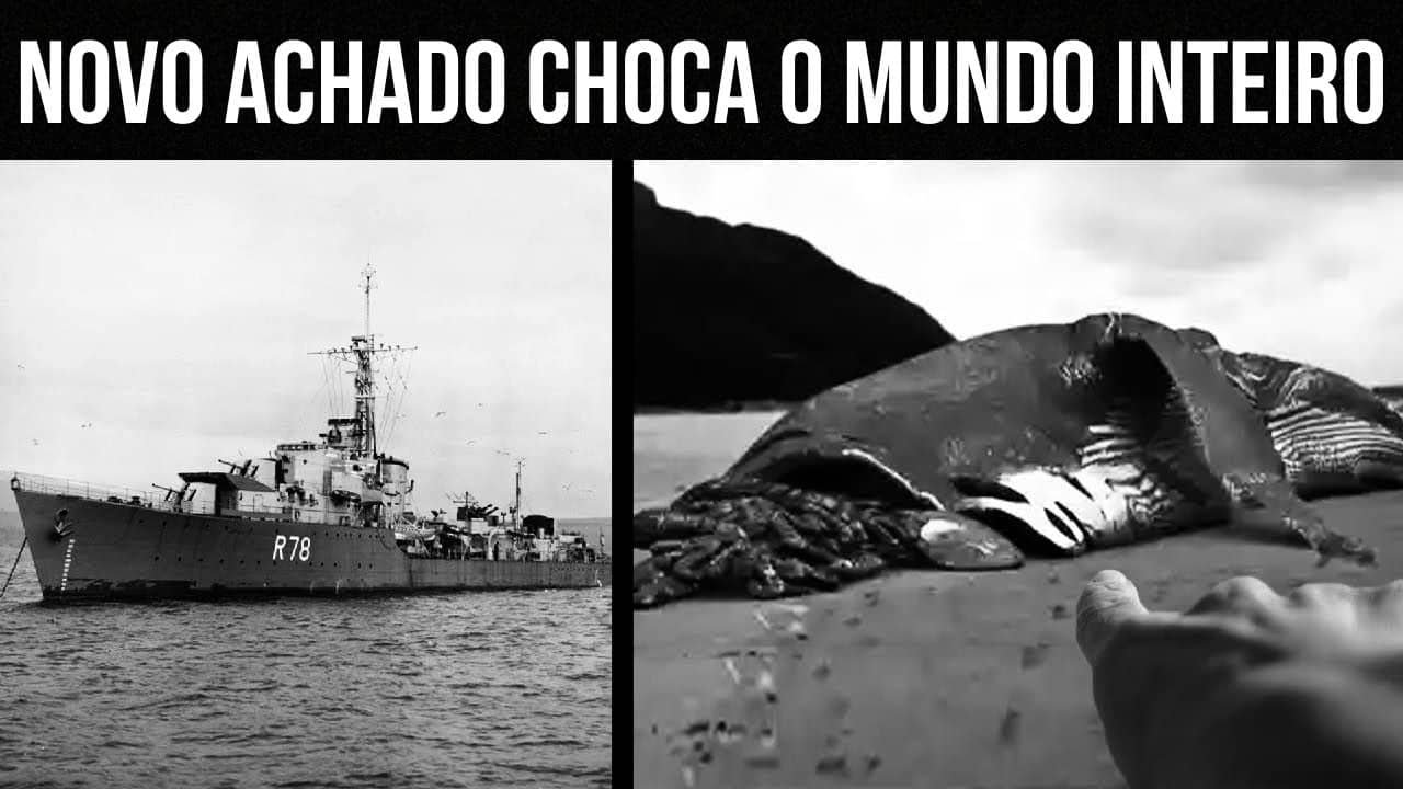 O Encontro da Marinha com um Megalodon Gigante!